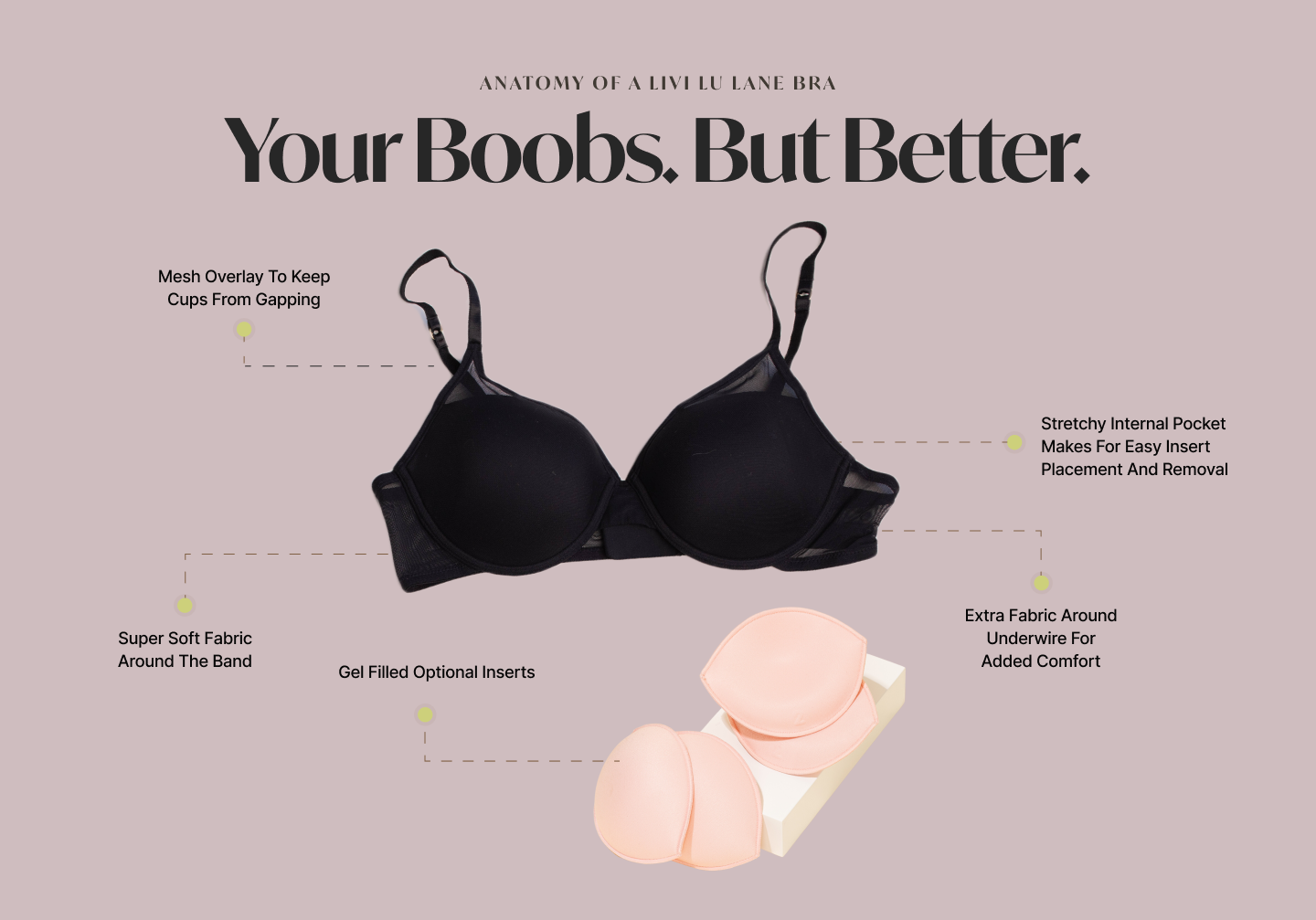 Infographic about Livi Lu Lane bra's components and features